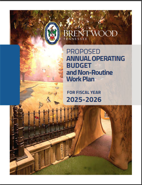 Budget document cover