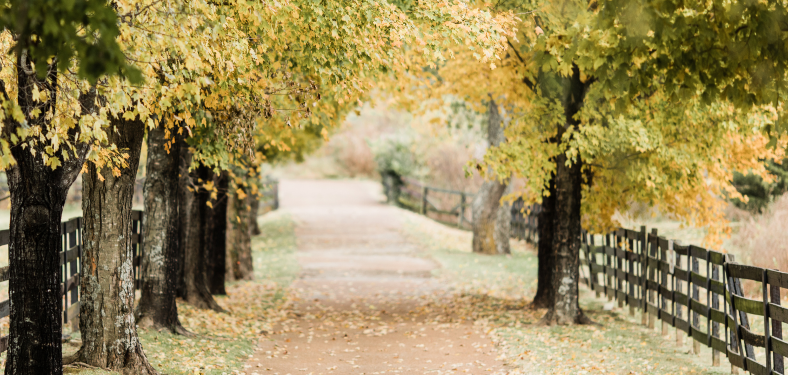 fall park