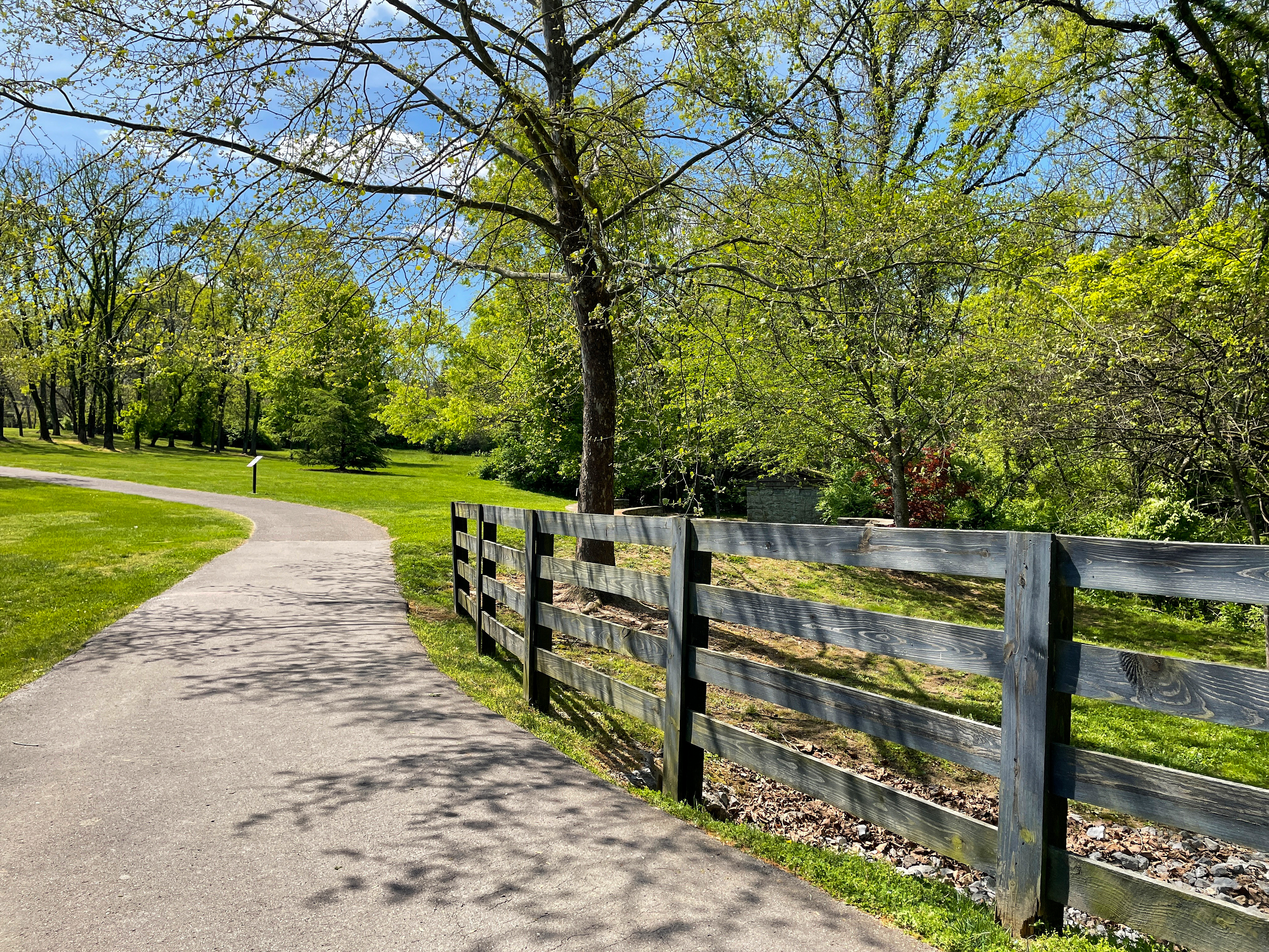 A paved path in front of the Brentwood Library