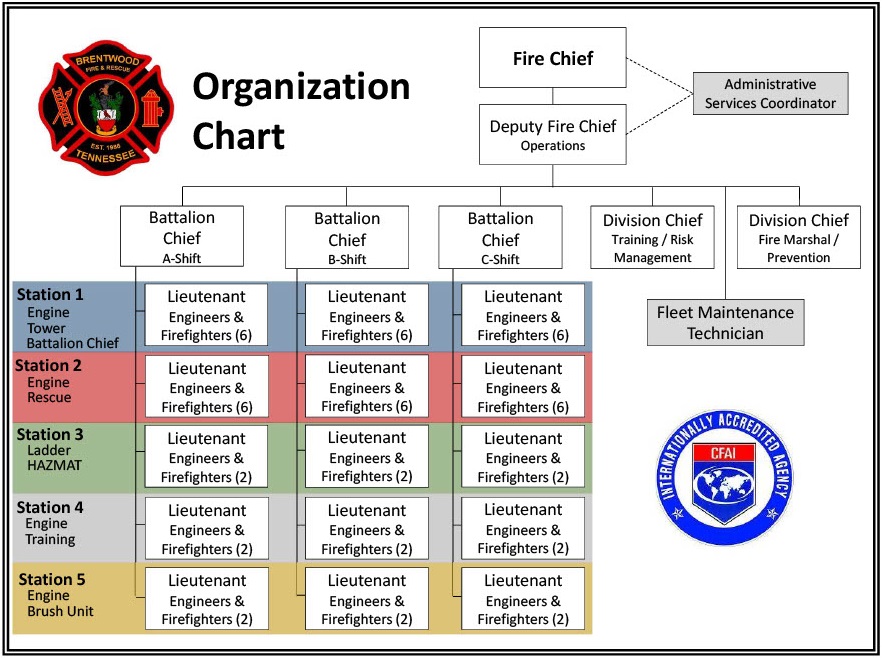 ORG-Chart.jpeg
