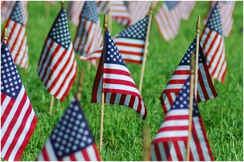 usa flags